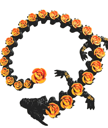 Rose the dragon
