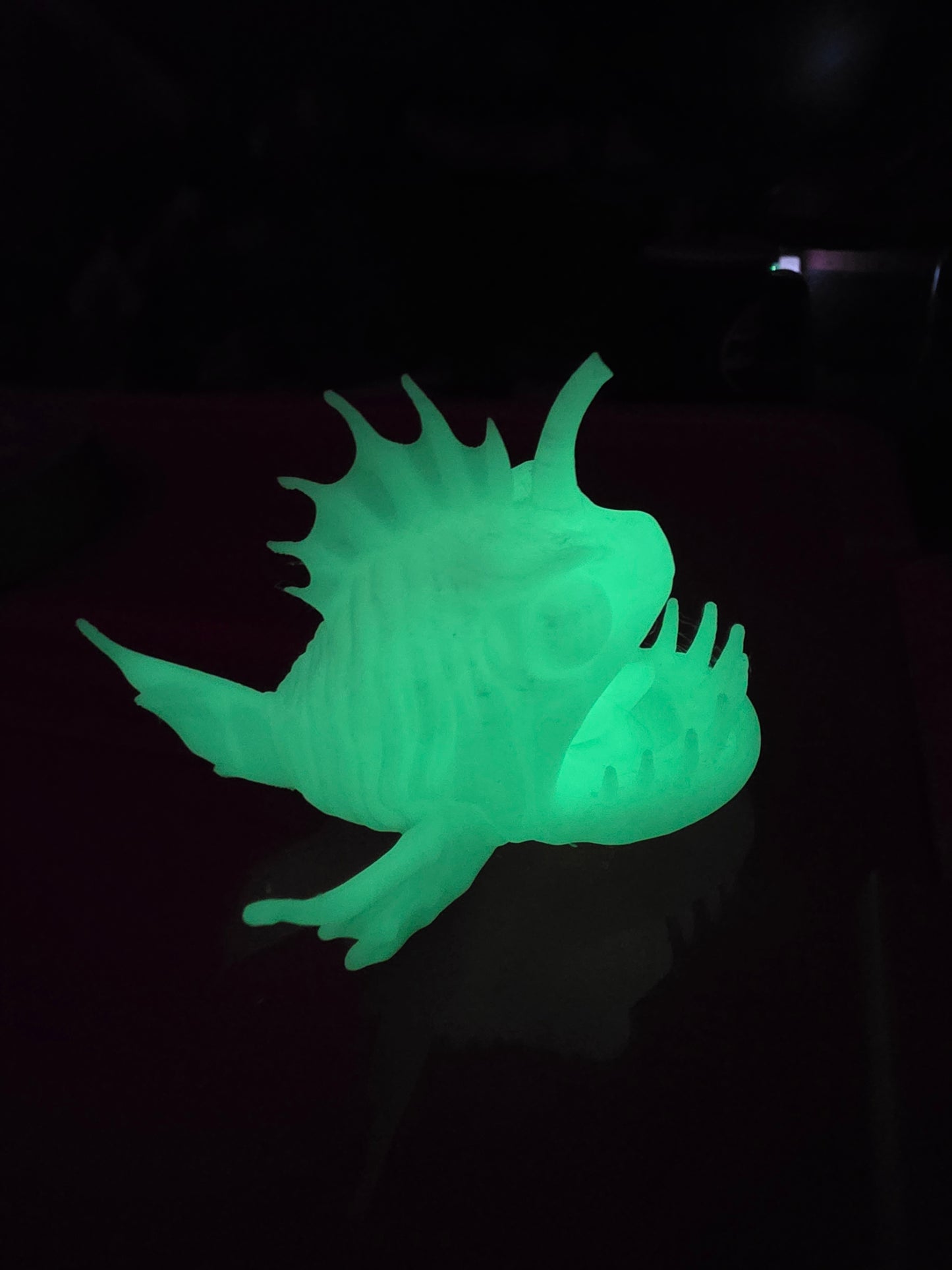 Small Angler Fish