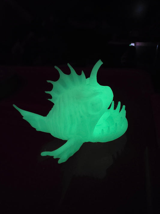 Small Angler Fish