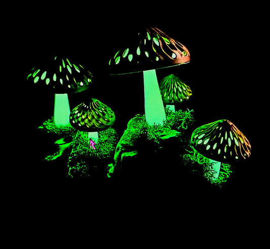 Mushroom Caps